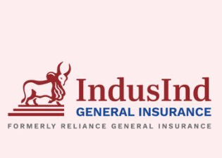 IndusInd General Insurance logo